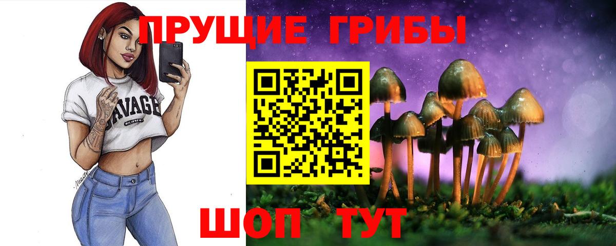 Галлюциногенные грибы Cubensis Люберцы